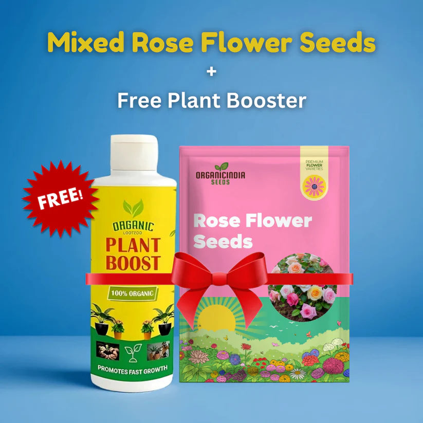 Hybrid Climbing Rose Flower Seeds + Free Growth Booster!